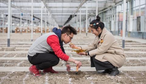 今年2.14，求婚又有新花样！单身狗们我只能帮你们到这了！