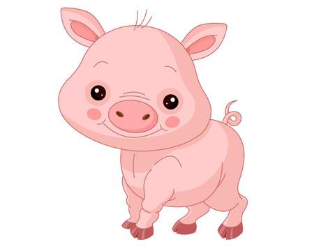 2019年出生的孩子是什么命