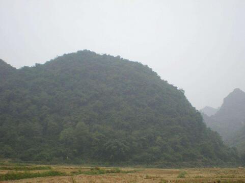 峦头风水学术语，峦头风水四大局图解