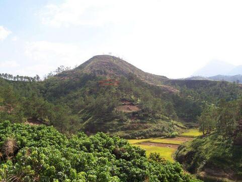 峦头风水学术语，峦头风水四大局图解