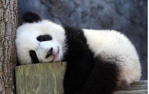 搞笑说说：一个词形容