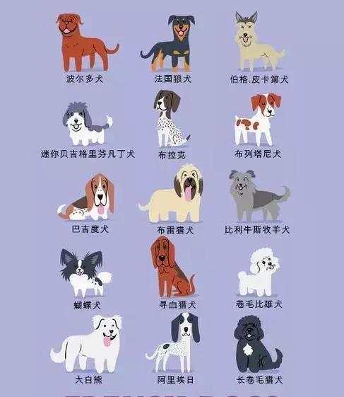 查查你家狗来自哪个国家