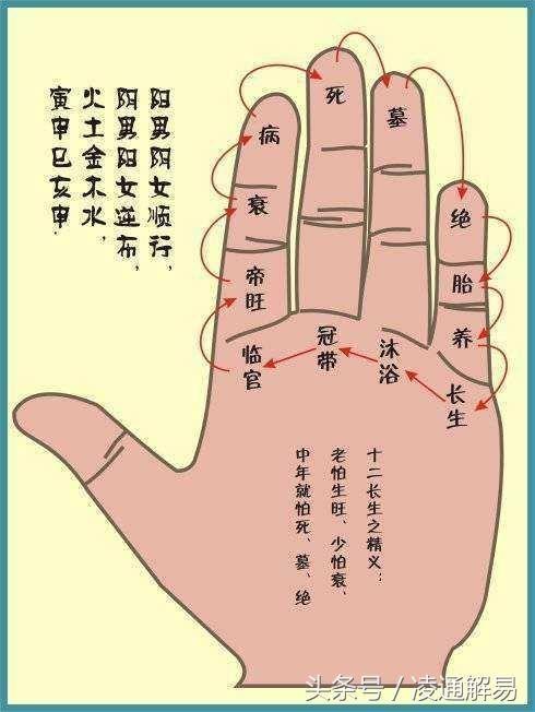 凌通先生言传身教带你学命理之5：地支藏干之十神与十二长生