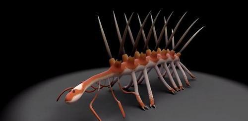 怪诞虫：5亿年前的海洋中最奇怪的物种，几十年才搞清它的真面目
