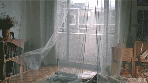 生活小妙招：窗帘脏了不用拆不用洗！