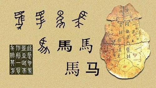 1956年, 中国为何推行简体字? 时隔70年, 专家: 恢复繁体字