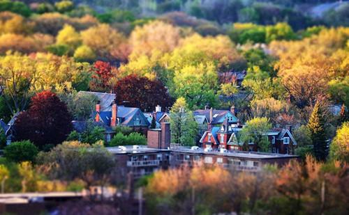 加拿大8大专业, 5大学科: 王牌对王牌, 强势来袭!