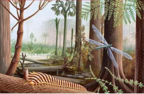 为什么石炭纪会存在近3M的巨型蜈蚣？...