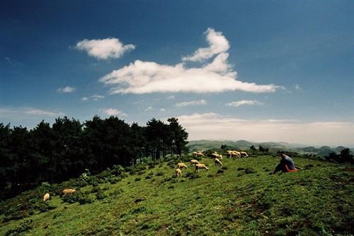 马摆大山景区 一个集峡谷、海子为一体的高山体闲度假旅游区