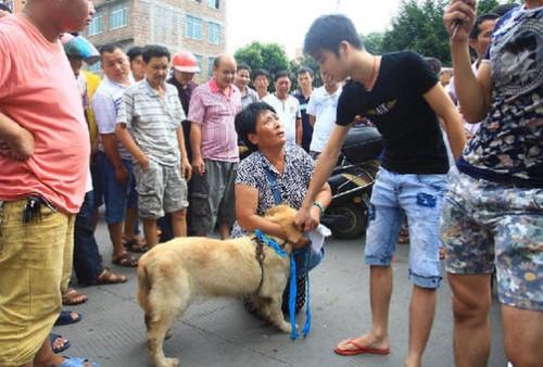 外国人是怎么看待中国人吃狗肉的？没想到，竟然这么多人表示理解
