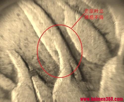 图解甘肃版袁大头特征，从此一眼辩真假