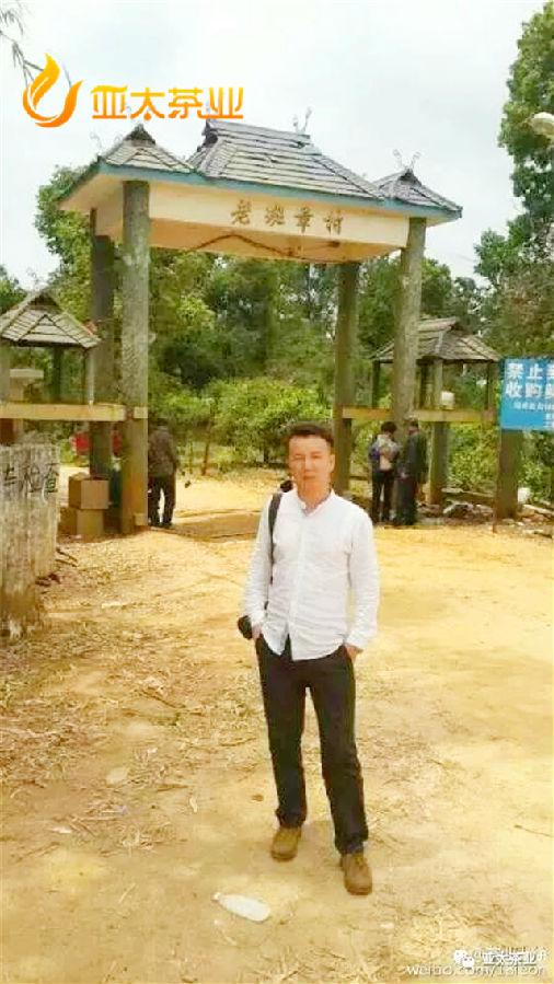 老徐说茶｜优秀普洱茶人，不仅是口号喊得响