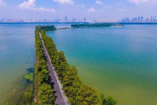 東湖綠道二期最新游玩攻略，值得一看！
