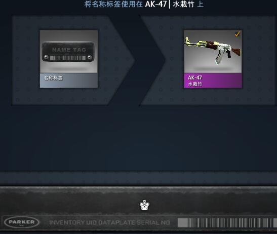 教你怎么给CSGO武器改中文名代码教程