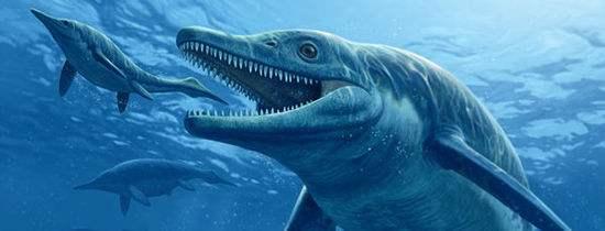 恐龙时代之前的海洋霸主鱼龙，酷似海豚一样的海洋爬行类动物