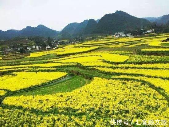 2018湖南油菜花赏花地图出炉！最美线路全包了！