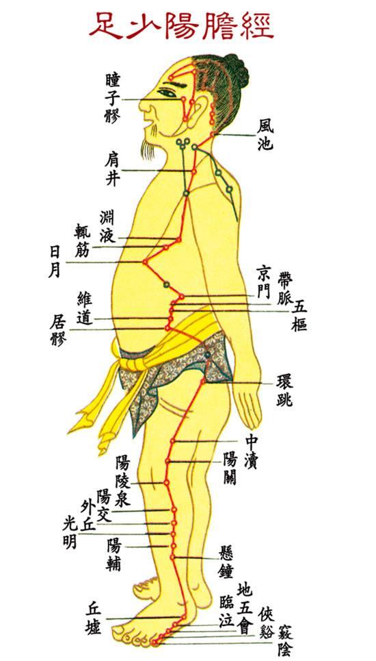 中医：每天敲会胆经，补气血、减肥、排毒素全不误