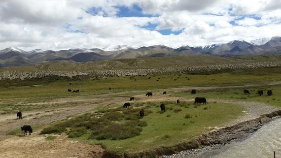 仲巴县到帕江乡有多远 西藏小众景点推荐