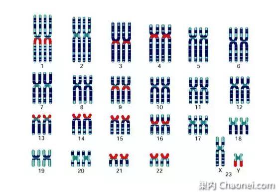 染色体异常怎么破？会造成哪些出生缺陷？还能生健康宝宝吗？