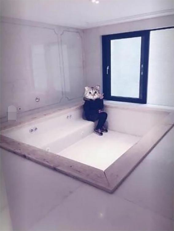 郭敬明晒新豪宅照，网友：真奢侈，该奋斗了，不然连浴缸都买不起