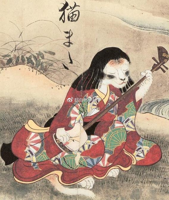 那个在大西洋边做成的猫妖梦，醒来后我总觉得身上湿漉漉的