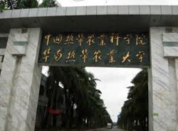 老照片回忆中国60-80年代时期各地的大学