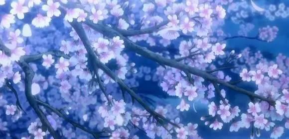 动漫樱花的邂逅---最美不过樱花季