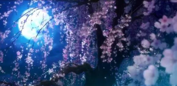 动漫樱花的邂逅---最美不过樱花季