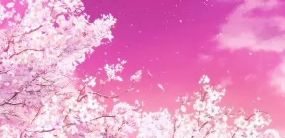 动漫樱花的邂逅---最美不过樱花季