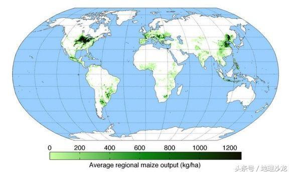 世界三大粮食作物的种植区域分布