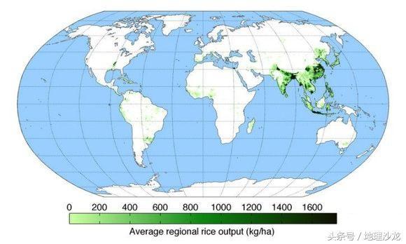 世界三大粮食作物的种植区域分布