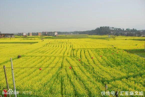 2018湖南油菜花赏花地图出炉！最美线路全包了！