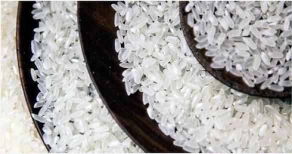 三款五常大米评测，最好的稻米竟然是它!