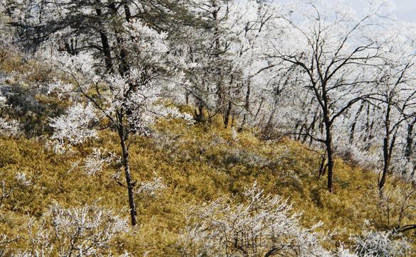 “窗含西岭千秋雪，门泊东吴万里船”这就是杜甫笔下的西岭雪山