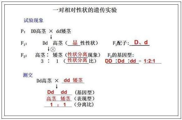 高考697分浙大学霸：我的生物从不扣分，只因和它“死磕3年”！