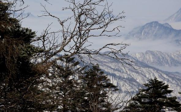 “窗含西岭千秋雪，门泊东吴万里船”这就是杜甫笔下的西岭雪山