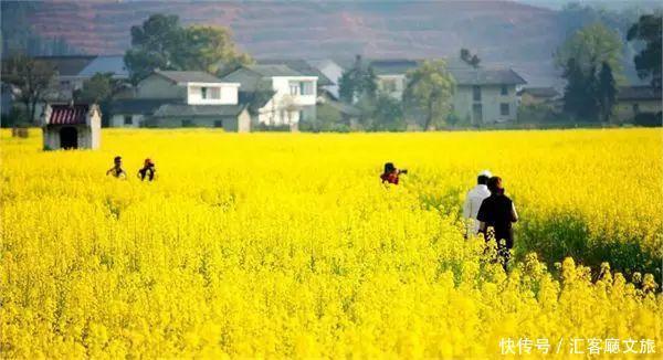 2018湖南油菜花赏花地图出炉！最美线路全包了！