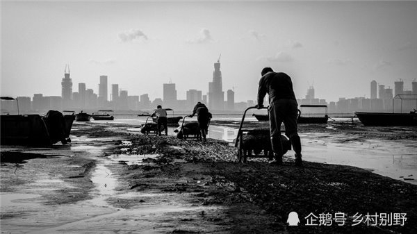 2017年国家地理会德丰青年摄影大赛获奖作品赏析