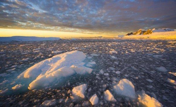 关于南极洲20个令人惊讶的事实, 你永远不会知道