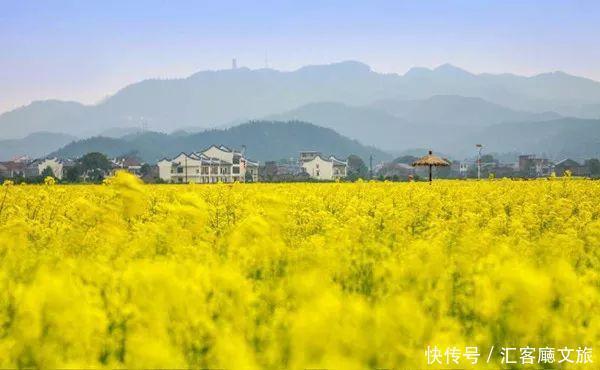 2018湖南油菜花赏花地图出炉！最美线路全包了！