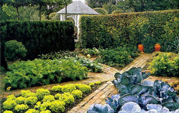 如何设计花园式菜园