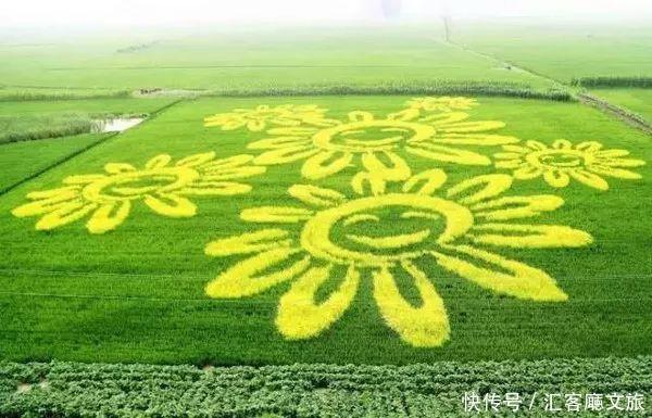 2018湖南油菜花赏花地图出炉！最美线路全包了！