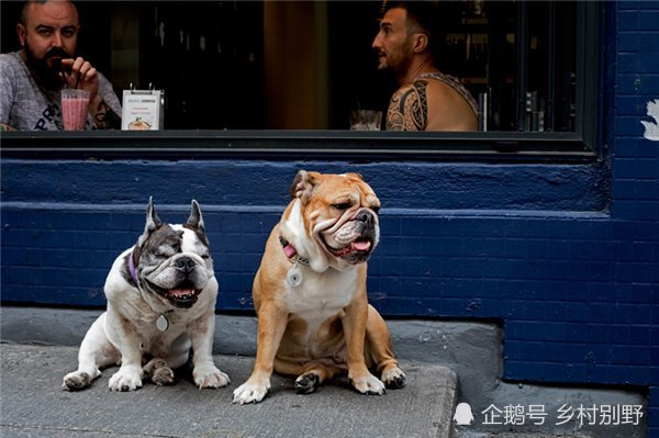 2017年国家地理会德丰青年摄影大赛获奖作品赏析