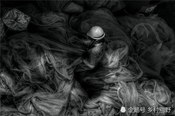 2017年国家地理会德丰青年摄影大赛获奖作品赏析