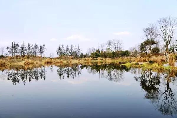 耍起：成都桤木河湿地公园二期美如画，周末去耍起啊！