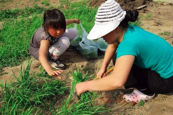 农村夏天的魅力景色世界，装载着乡里人朴素的现实生活！