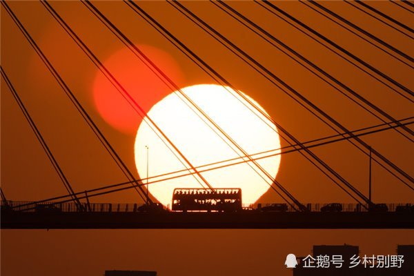 2017年国家地理会德丰青年摄影大赛获奖作品赏析