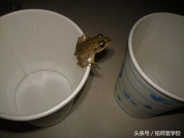 一模看高考，助你一臂上大学