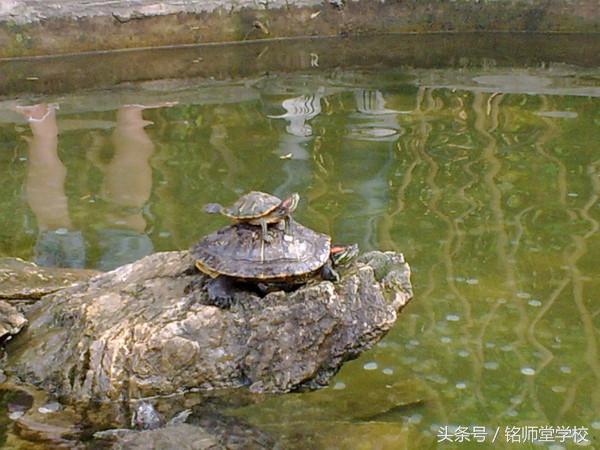 一模看高考，助你一臂上大学