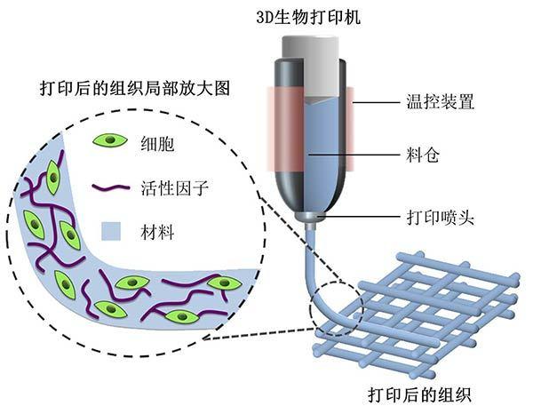 2018高考专业解读：生物功能材料专业